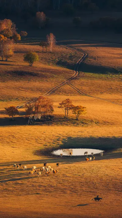 Attractions suitable for late autumn travel 43