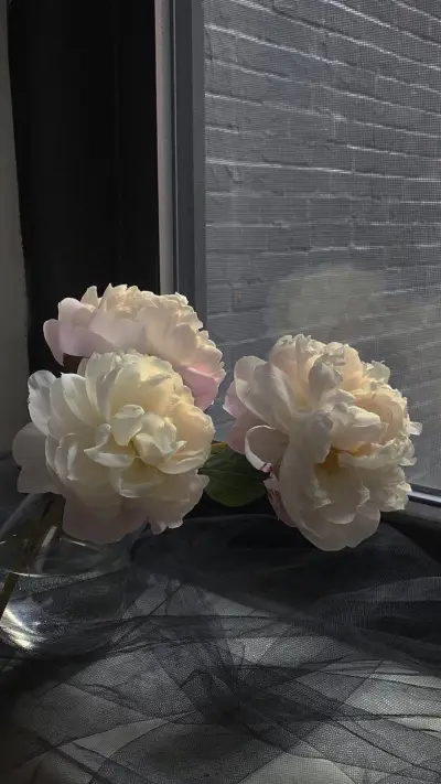 清新 - Screenshot 1