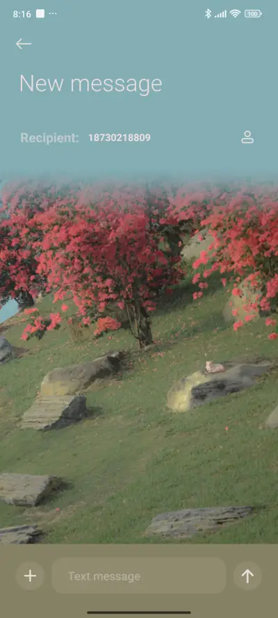 Flower mountains - Screenshot 8