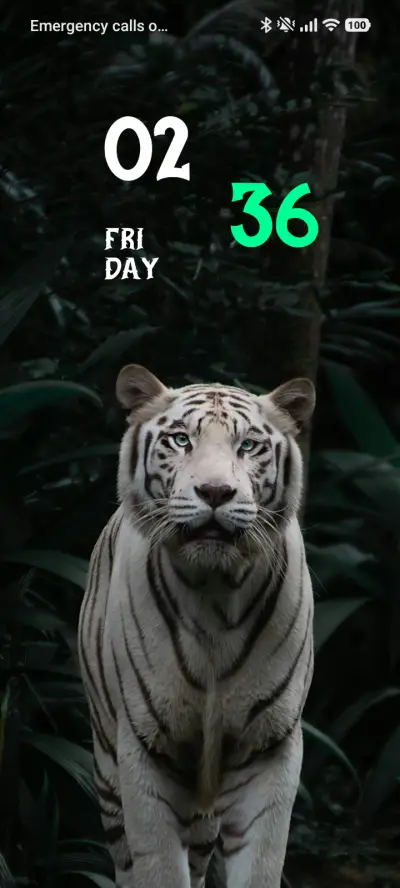 Ground King - Screenshot 1