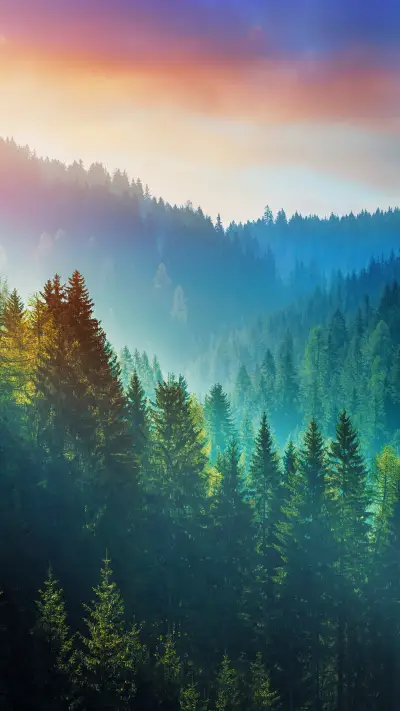 Trees can communicate with each other 20