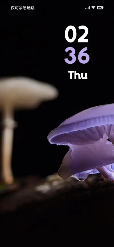 Mushroom THEME for Xiaomi MIUI HyperOS
