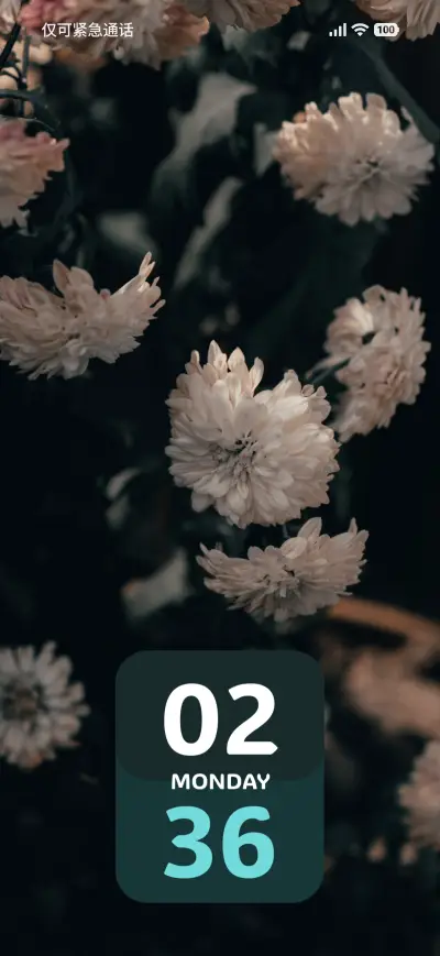 Soft Petals