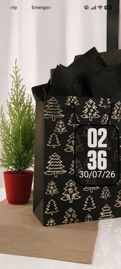 Holly Cheer
