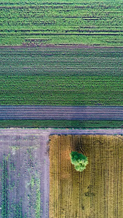 Overlooking the grassland - Screenshot 1