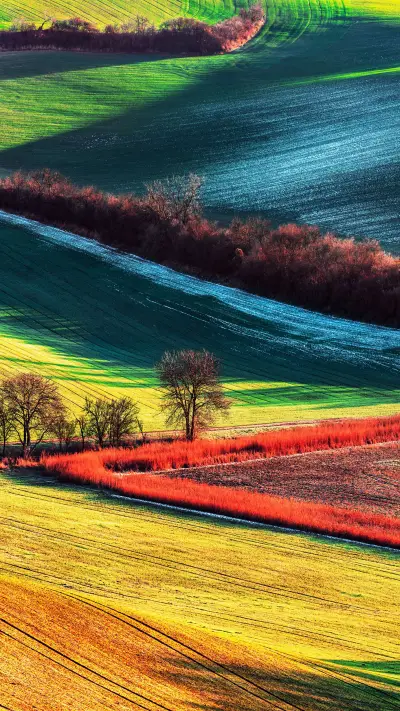 Flowing pastoral oil painting