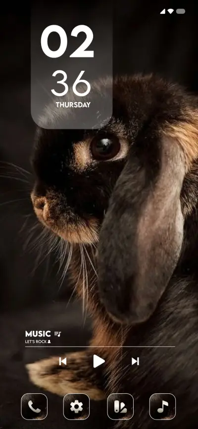 Cute Rabbit