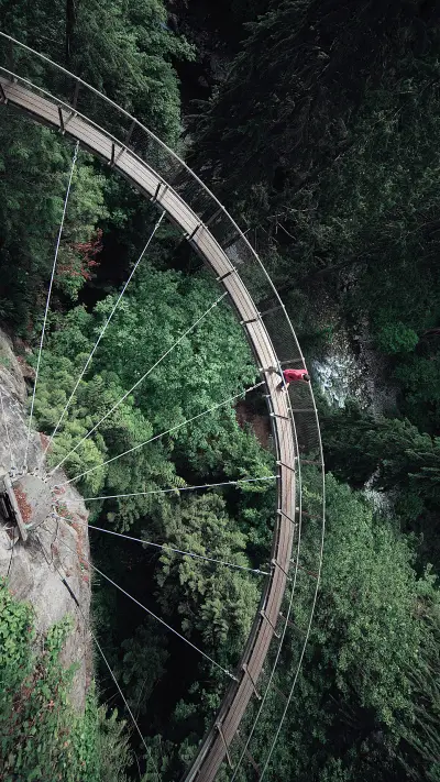 Capilano suspension bridge forest canada