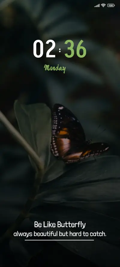 Butterfly - Screenshot 1