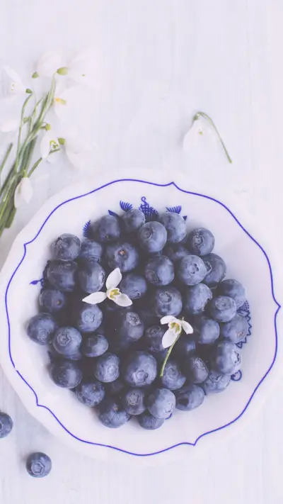 蓝莓 (6) - Screenshot 1