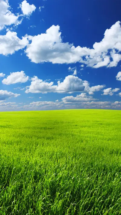 Blue sky and white clouds