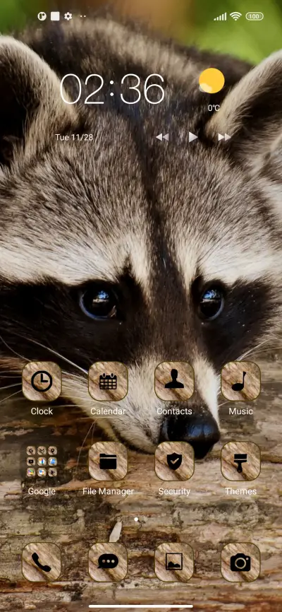 wildlife raccoon - Screenshot 2