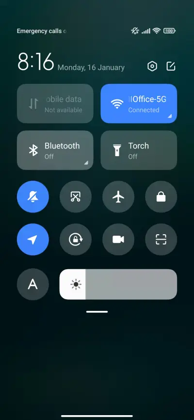 A crane in the fog - Screenshot 5