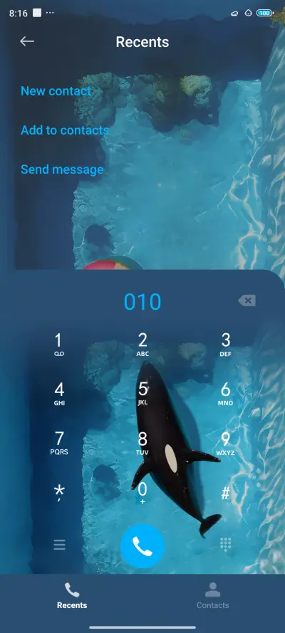 Cetacean - Screenshot 6