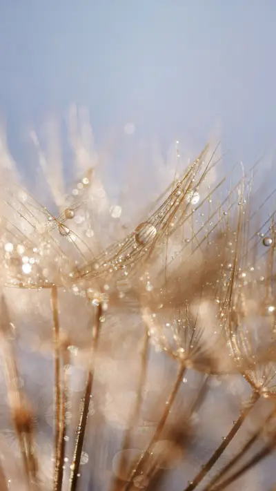 Natural wallpaper-07