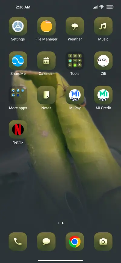 Wildlife_Spider - Screenshot 3