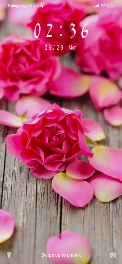 Pink rose_3MDS - Screenshot 1