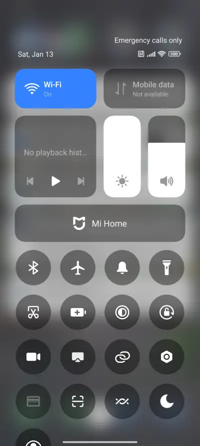 Koi In The Palm - Screenshot 6