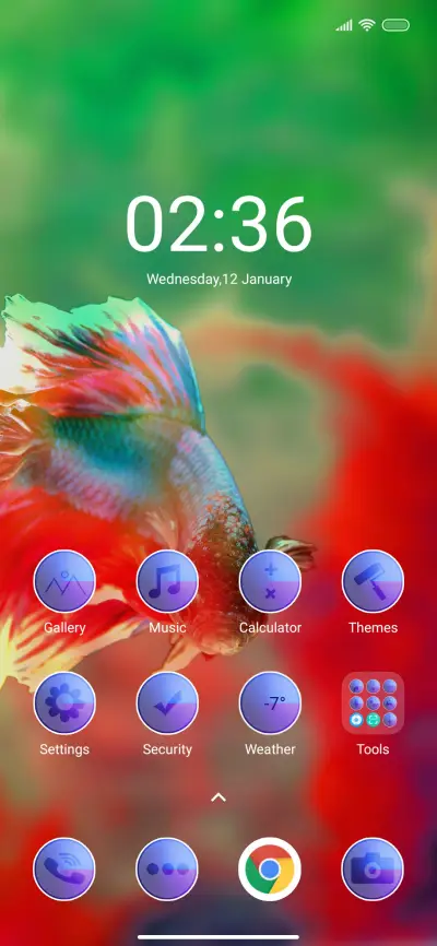 Colorfull Fish - Screenshot 2