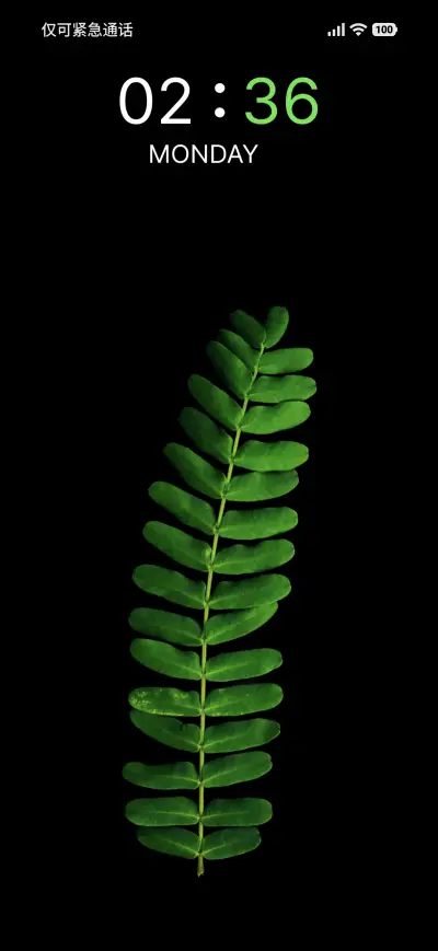 Leaf Lume - Screenshot 1