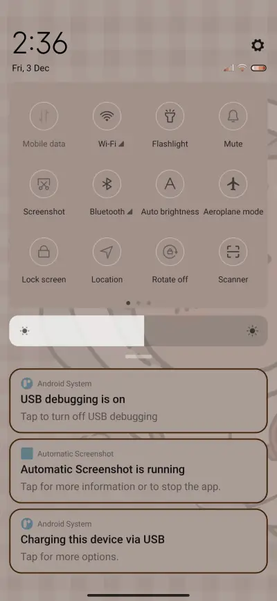 Space of the Bear - Screenshot 5