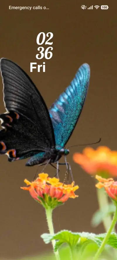 Nature Touch - Screenshot 1