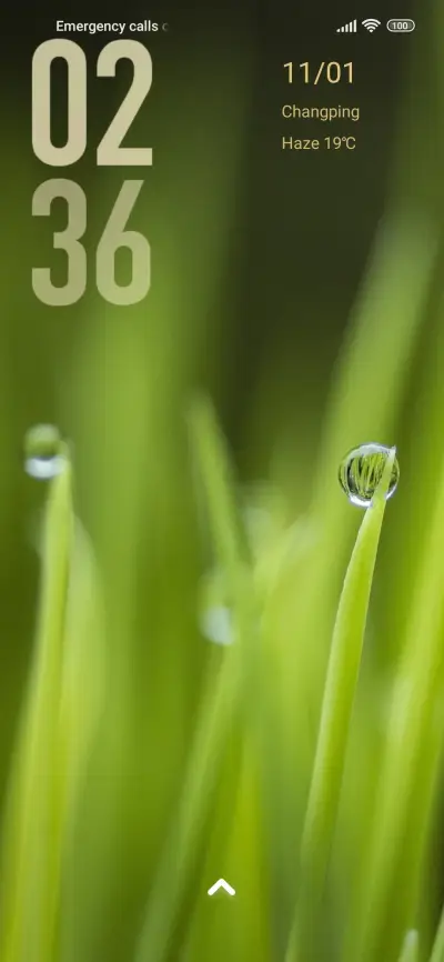nature dew