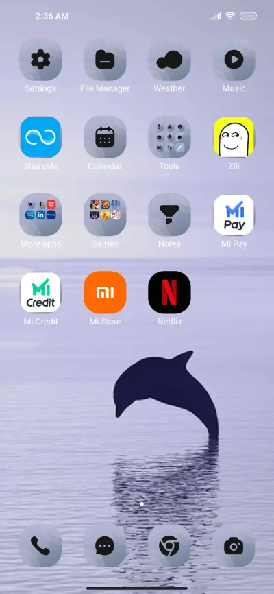 Dolphin_4 - Screenshot 3