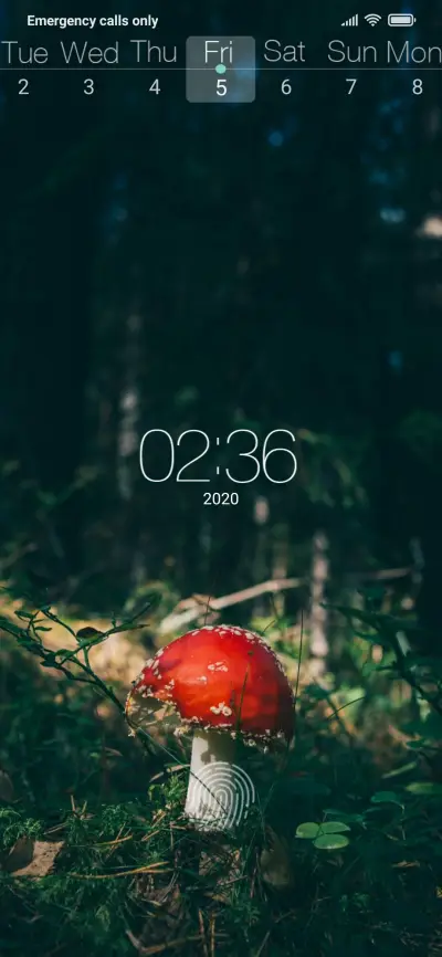 mushroom