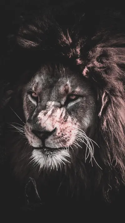 dark (10) - Screenshot 1