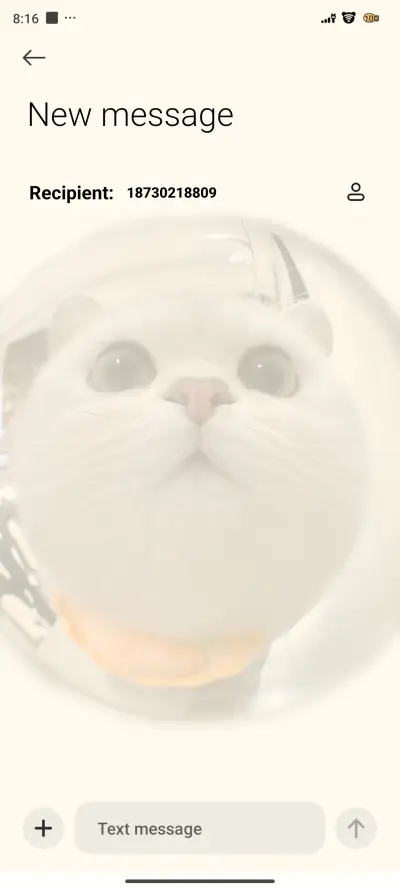 Cat Open The Door - Screenshot 8