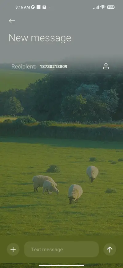 Spring simplicity - Screenshot 8