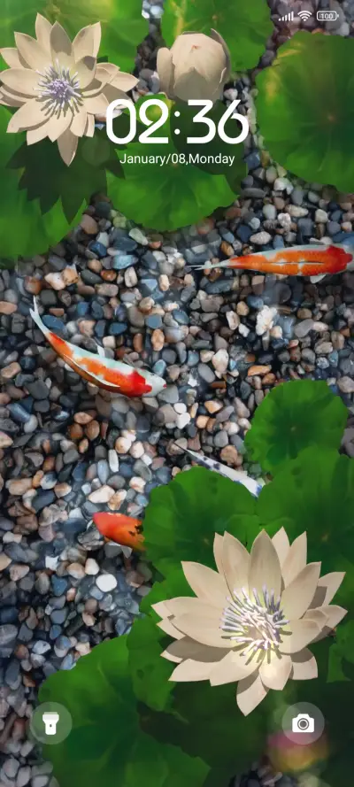 Transit Koi - Screenshot 2