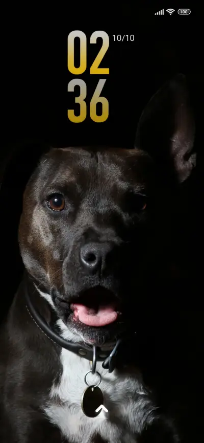 dark dog - Screenshot 1