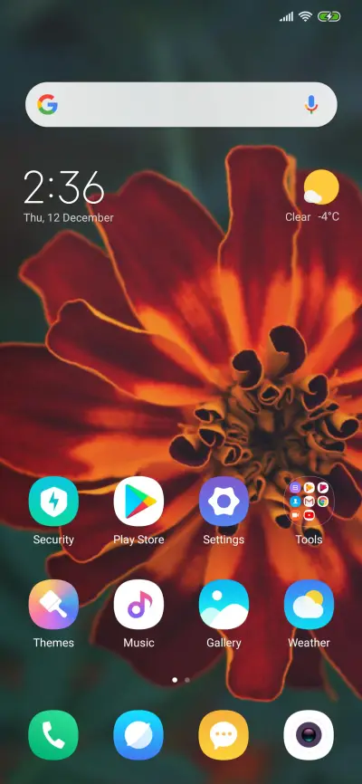 Ganesh - Screenshot 2