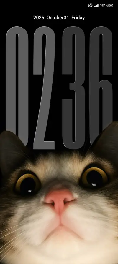 cat THEME for Xiaomi MIUI HyperOS