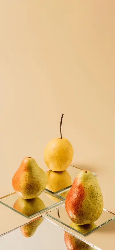 The Mirror  and The Still Life-PAIXIN