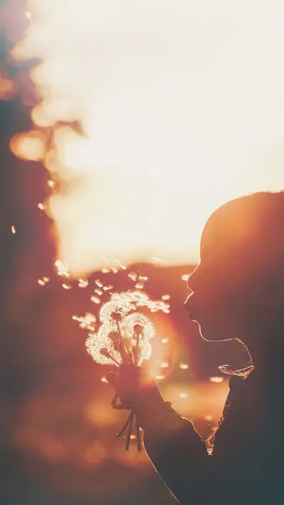 蒲公英 - Screenshot 1