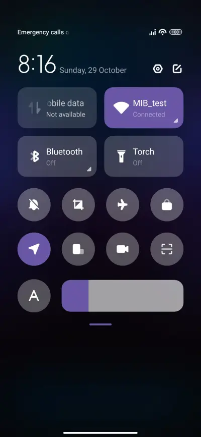 Ice Phoenix - Screenshot 5