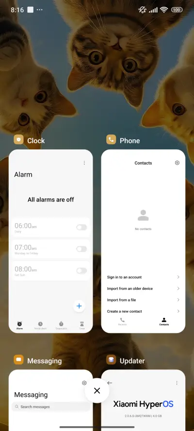 Cats - Screenshot 5