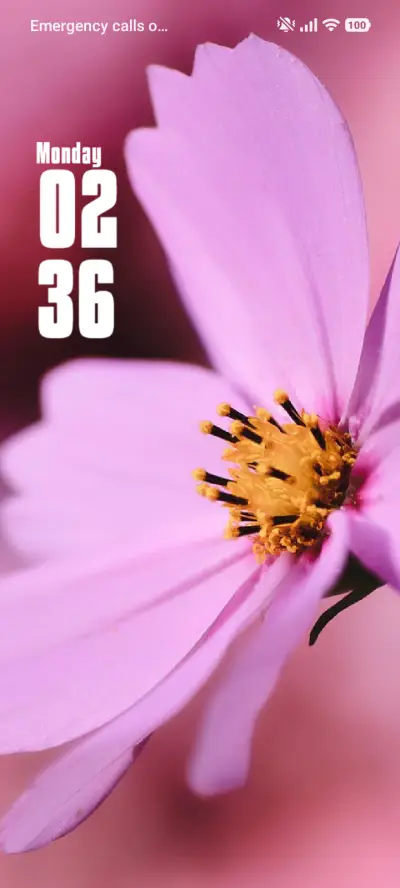 Kamal - Screenshot 1