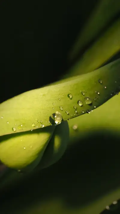 Spring bends and lines of nature - Screenshot 1