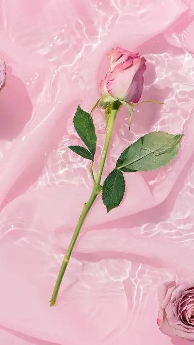 Art Wallpapers-02 - Screenshot 1