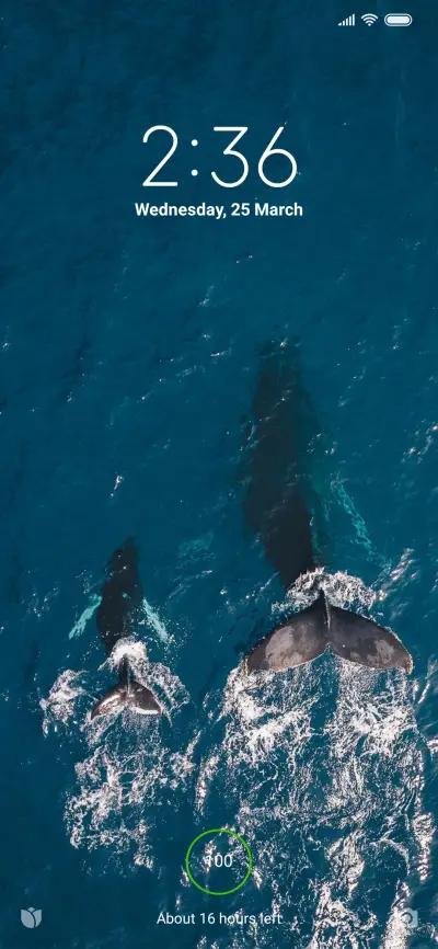 Official MIUI Theme_16