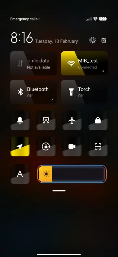 Orange flowers v12 - Screenshot 6