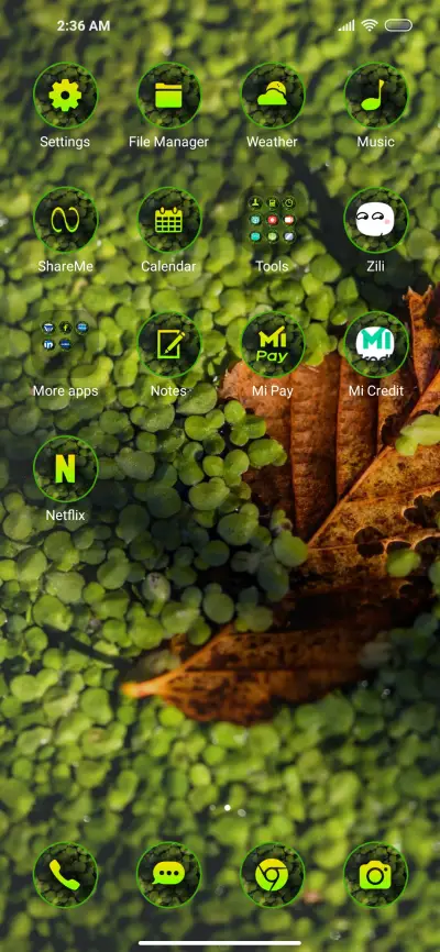 Natural Ace - Screenshot 3