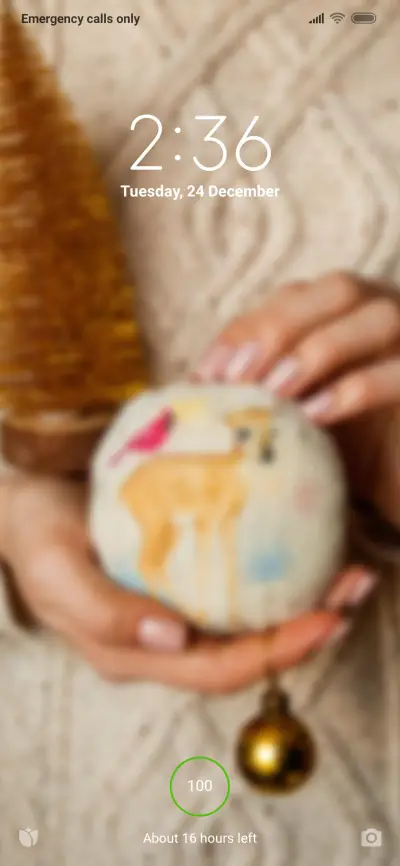 Official MIUI Theme_2_2019-12-23_19:50:40 - Screenshot 1