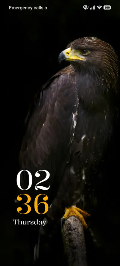 Black Hawk - Screenshot 1