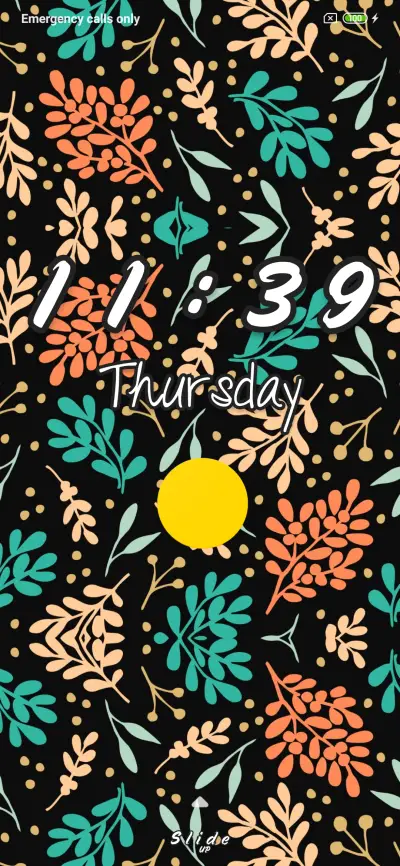 Red and Blue branches_DWM19