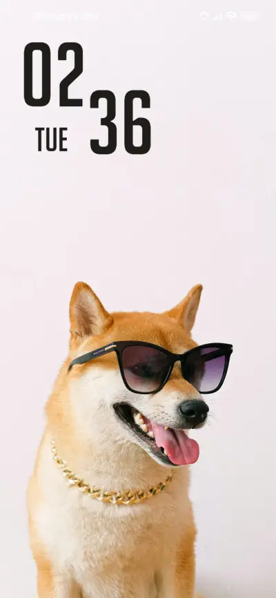 Dog Glasses - Screenshot 1